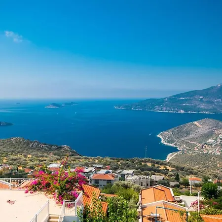 Nar 2 Kalkan